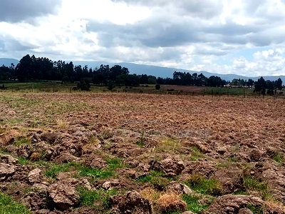 1/2 Acre for Sale at Nyandarua County - Image 9