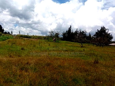 1/2 Acre for Sale at Nyandarua County - Image 1