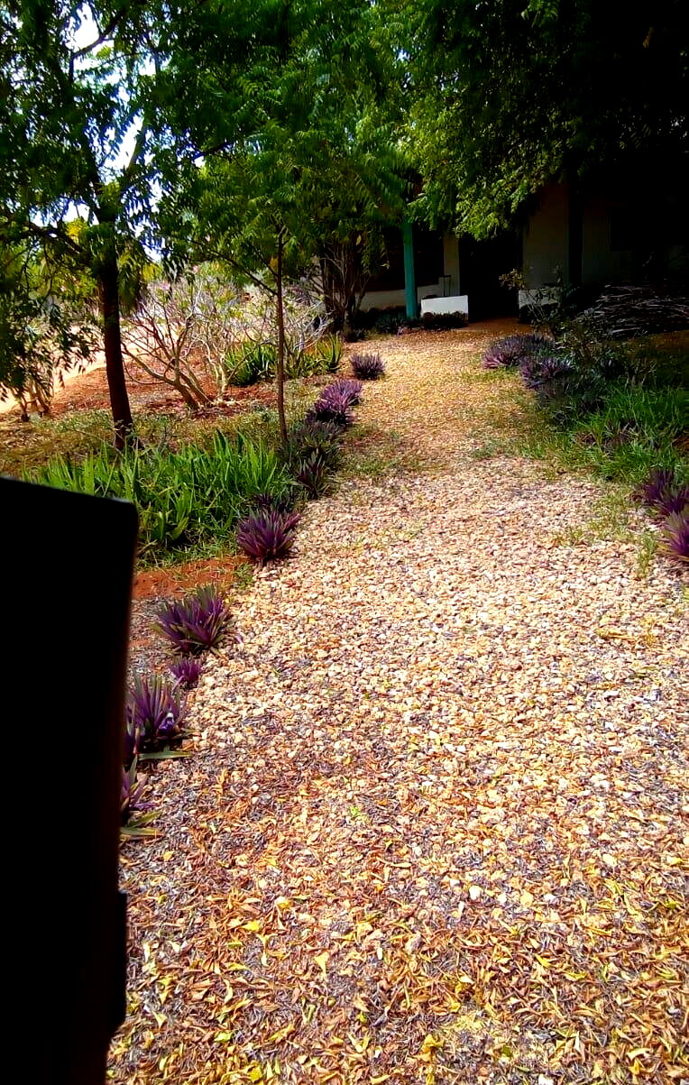5-Acre Pet Friendly Plot in Malindi