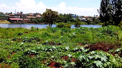 Toll, Twiga Estate 40x80 Plots. - Image 11