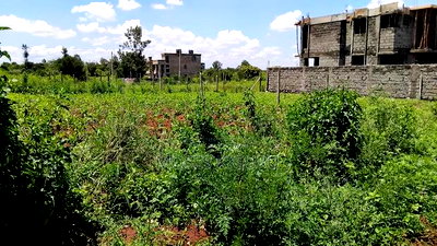 Toll, Twiga Estate 40x80 Plots. - Image 7