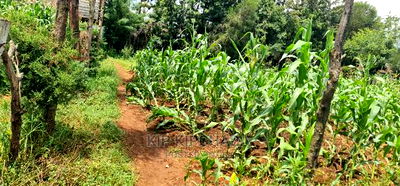 Commercial Plot For Sale In Annex Eldoret - Image 13