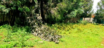 Commercial Plot For Sale In Annex Eldoret - Image 8