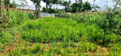 Commercial Plot For Sale In Annex Eldoret - Image 7