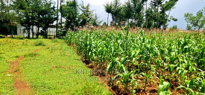 Commercial Plot For Sale In Annex Eldoret - Image 4