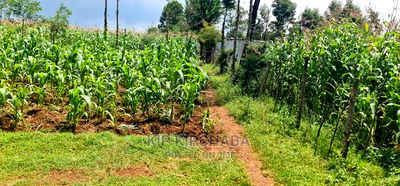 Commercial Plot For Sale In Annex Eldoret - Image 10