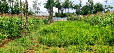 Commercial Plot For Sale In Annex Eldoret - Image 15