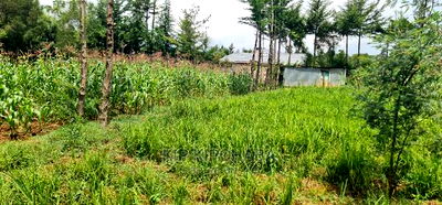 Commercial Plot For Sale In Annex Eldoret - Image 12