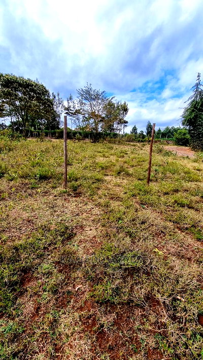 Prime 1/8 An Acre Ololua ,46 - Image 6