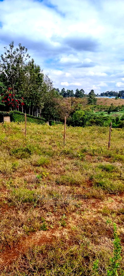 Prime 1/8 An Acre Ololua ,46 - Image 9