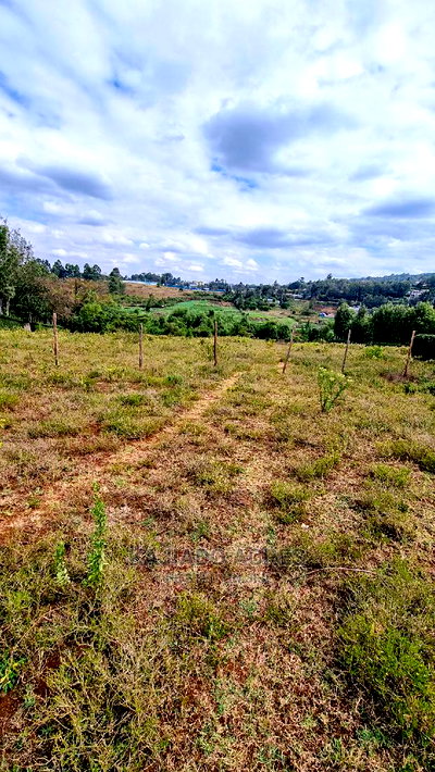 Prime 1/8 An Acre Ololua ,46 - Image 4