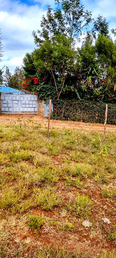 Prime 1/8 An Acre Ololua ,46 - Image 3