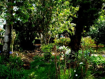 Prime Plot for Sale in Westlands Nairobi - Image 7