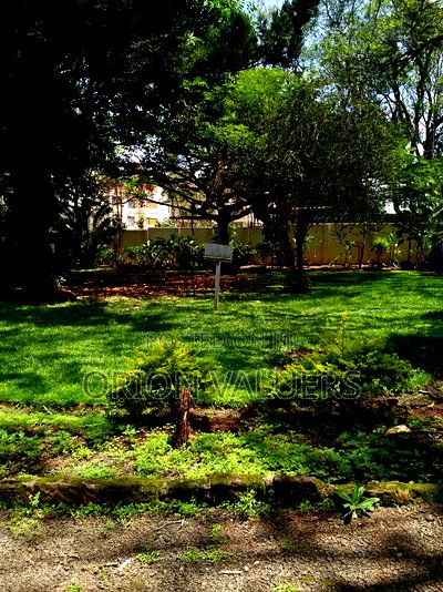 Prime Plot for Sale in Westlands Nairobi - Image 5