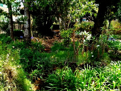 Prime Plot for Sale in Westlands Nairobi - Image 9