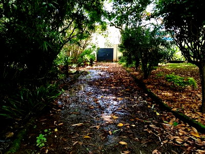 Prime Plot for Sale in Westlands Nairobi - Image 2