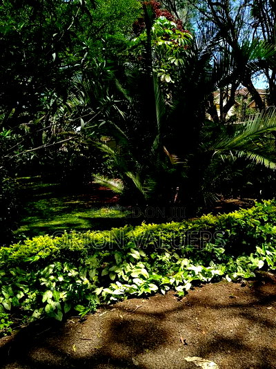 Prime Plot for Sale in Westlands Nairobi - Image 6