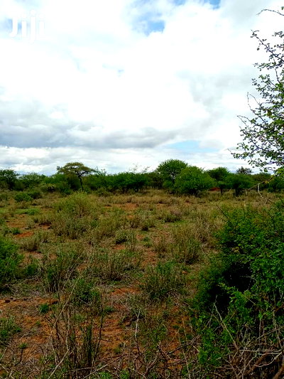 10 Acres Ngoyian(Ilkisumeti) - Image 2