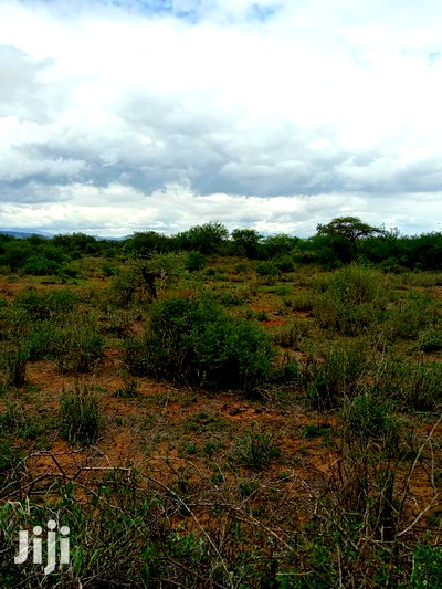 10 Acres Ngoyian(Ilkisumeti) - Image 3