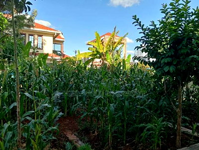 4bdrm Villa in Katani for sale - Image 15