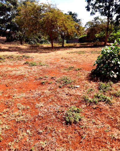 Quarter Acre with Garden in Thika