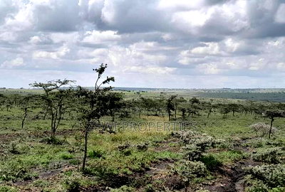 100 Acre's Kipeto, Kisearian-ngong - Image 4