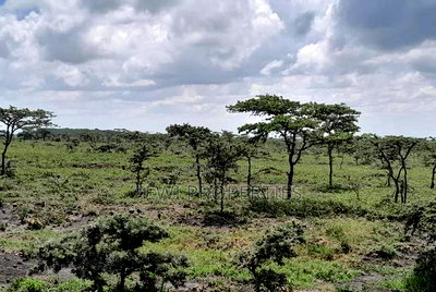 100 Acre's Kipeto, Kisearian-ngong - Image 7