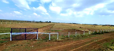 50 by 100 Ft Plots in Mirera Area, Selling for 700,000 - Image 4