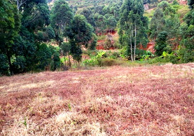 1-Acre Farm in Mua Hills for KSh 950K