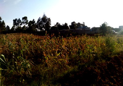 50x100 Plot at KSh 3.5M