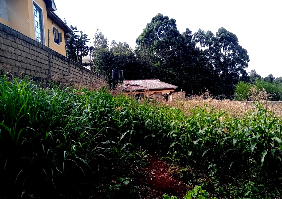 KSh 3M Garden Plot with Parking