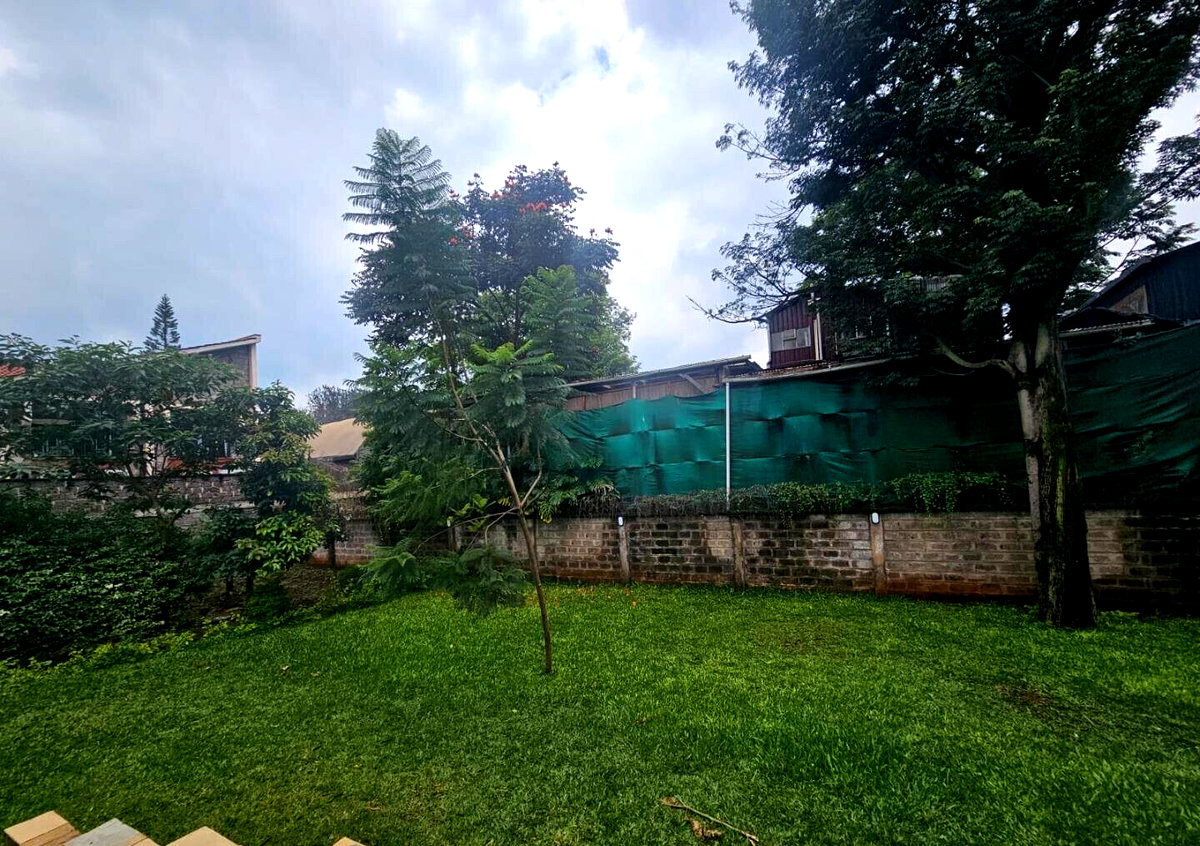 50x100 Plot Commercial Space for Rent