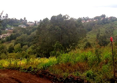 1/8 Acre Plot in Ngong CBD