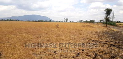 14 Acres for Sale in Malaa - Image 3