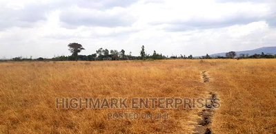 14 Acres for Sale in Malaa - Image 1