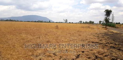 14 Acres for Sale in Malaa - Image 2