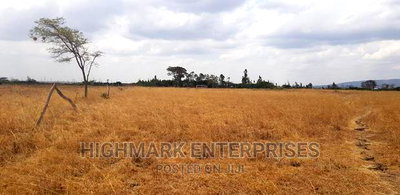14 Acres for Sale in Malaa - Image 5