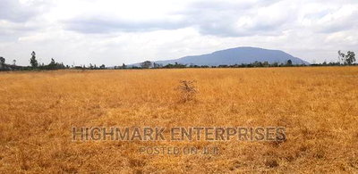 14 Acres for Sale in Malaa - Image 4