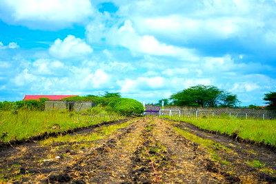 Get a Piece of Kitengela Plains 2 - Image 2