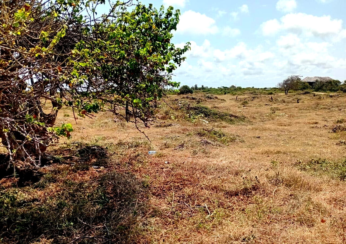 Beachfront Land at KSh 30M