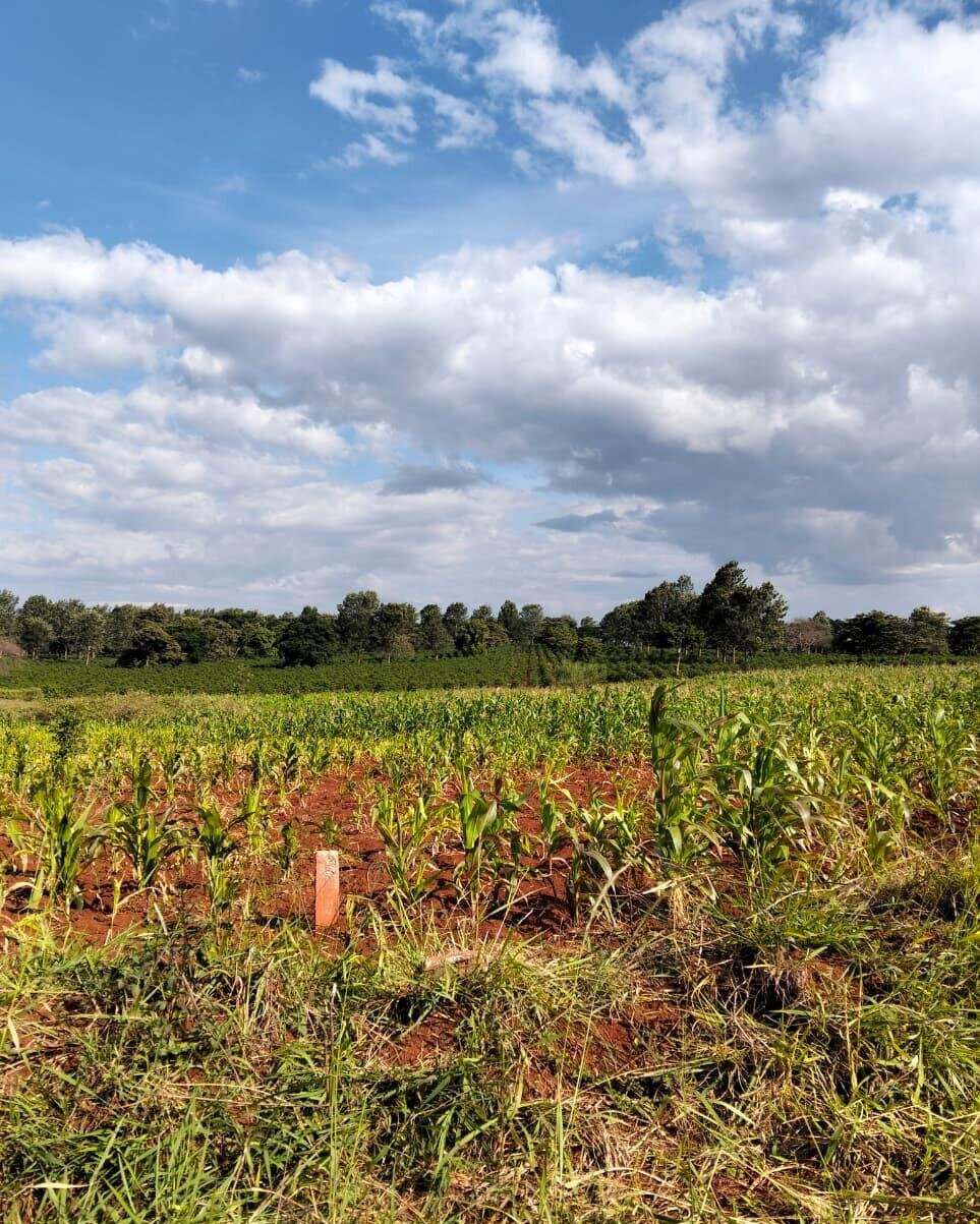 KSh 2.5M Plot in Kiambu