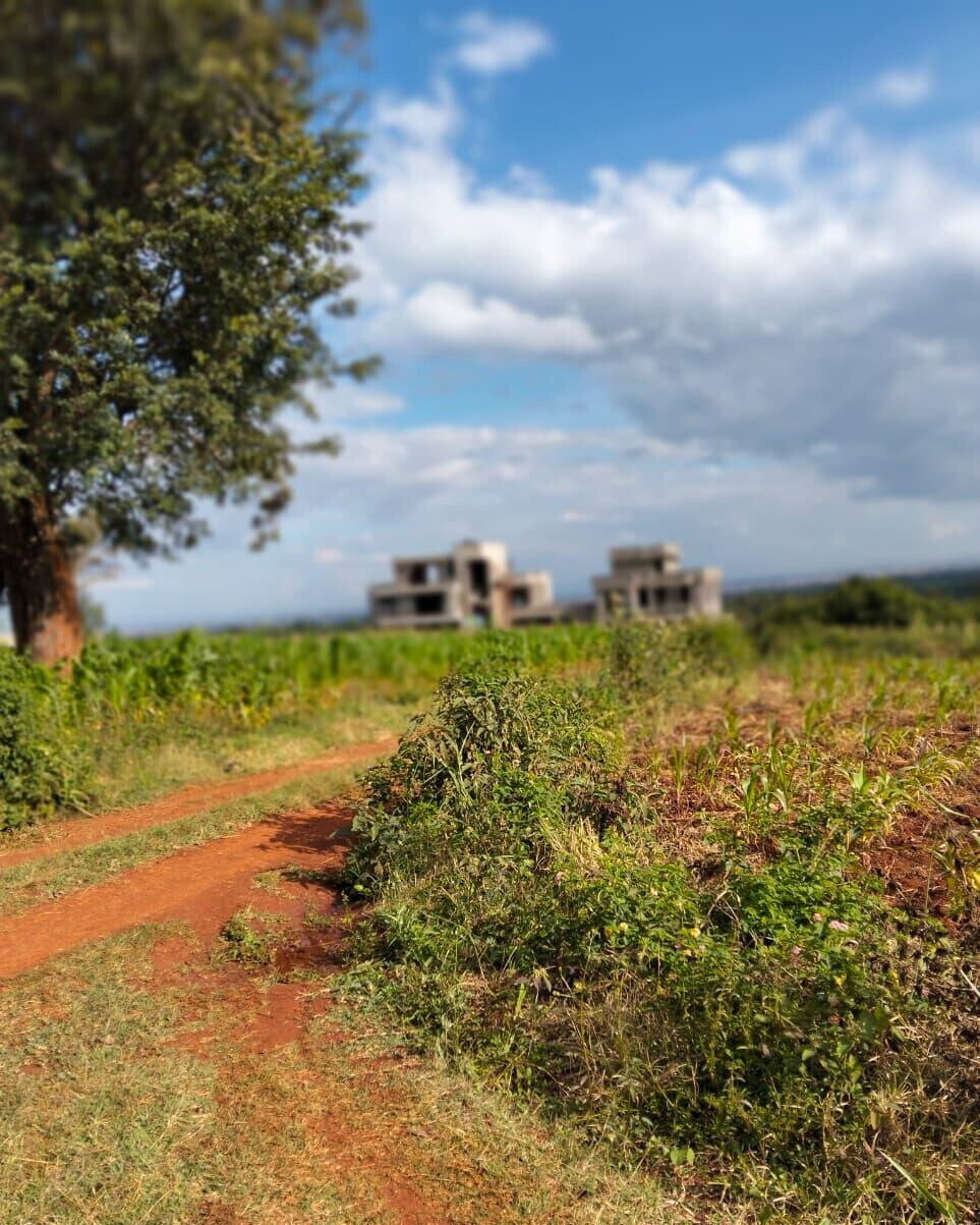 KSh 2.5M Plot in Kiambu