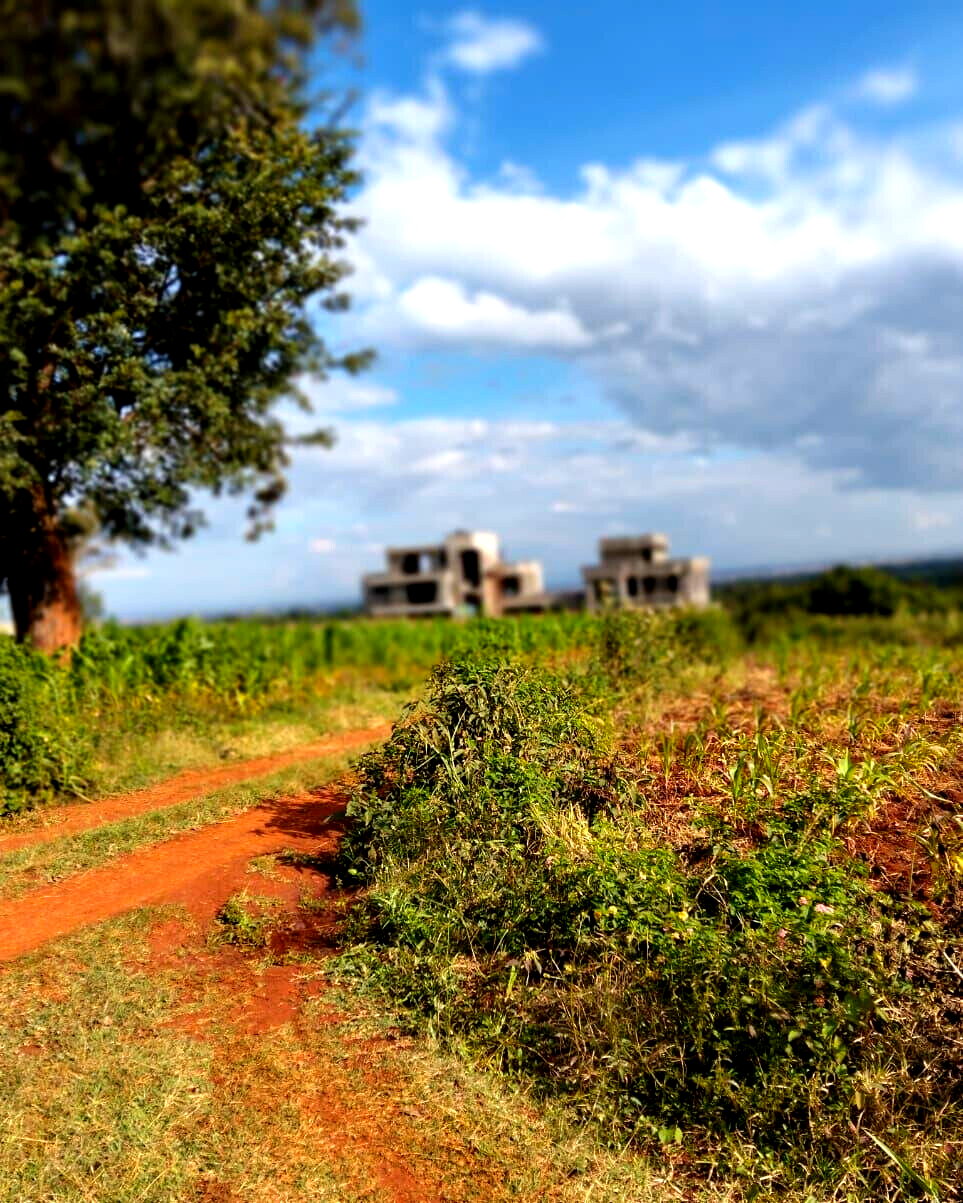 KSh 2.5M Plot in Kiambu