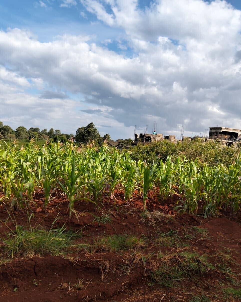 KSh 2.5M Plot in Kiambu
