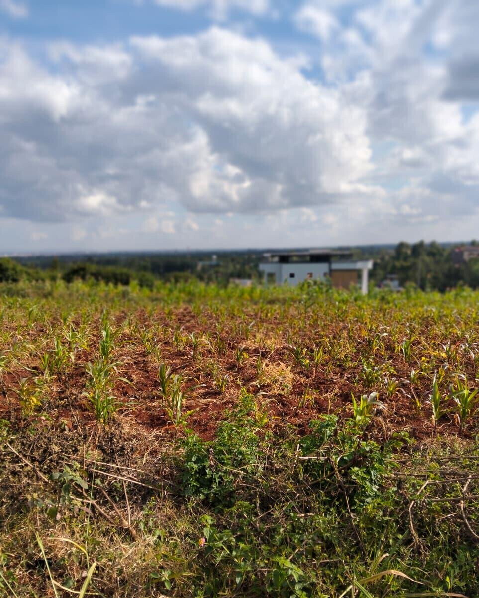 KSh 2.5M Plot in Kiambu