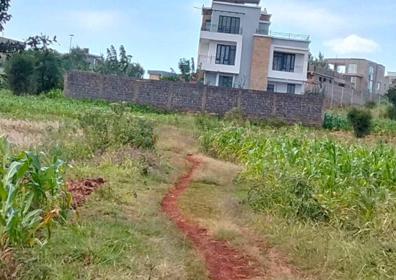 KSh 2.5M Plot in Kiambu