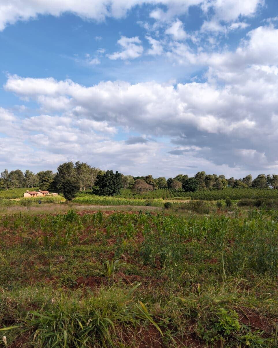 KSh 2.5M Plot in Kiambu