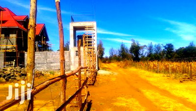 50*100 Plots for Sale in Ngata 400mts From Tarmac - Image 1