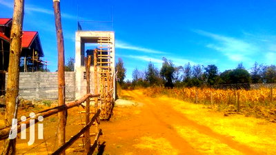 50*100 Plots for Sale in Ngata 400mts From Tarmac - Image 3
