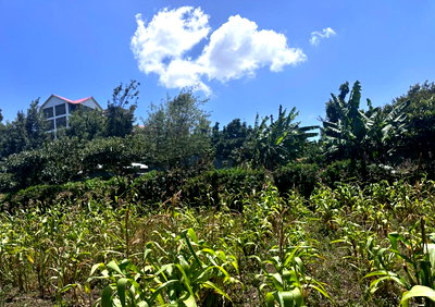 1/2 Acre Garden Office Space at KSh 18M